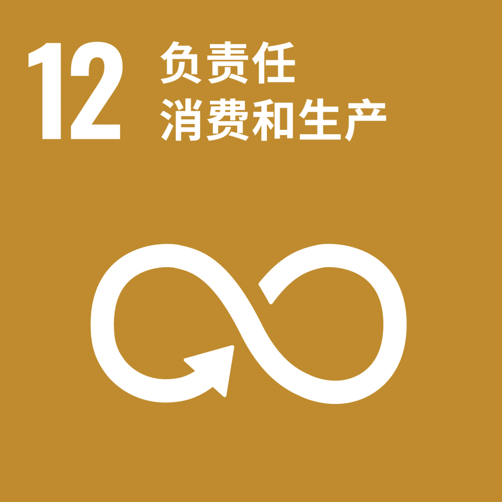 C-WEB-Goal-12